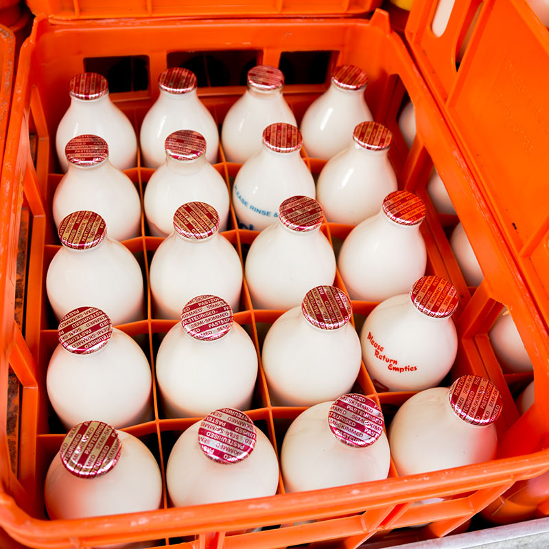 Milk delivery FAQ